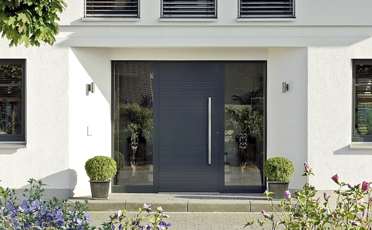Moderne antracietkleurige voordeur met glaselementen, omlijst door een witte gevel en decoratieve planten.